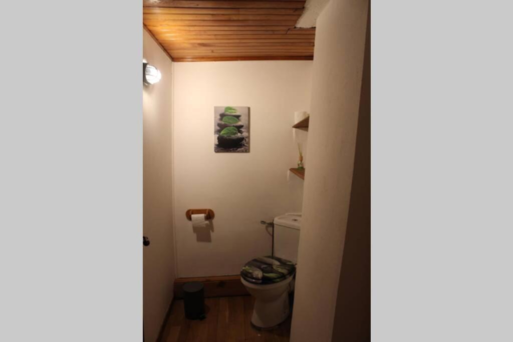 Maison De Charme Calme Entouree De Montagne Ussat Eksteriør billede